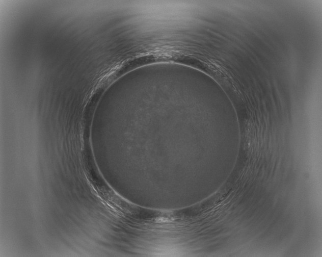 X0000056330496200509161713