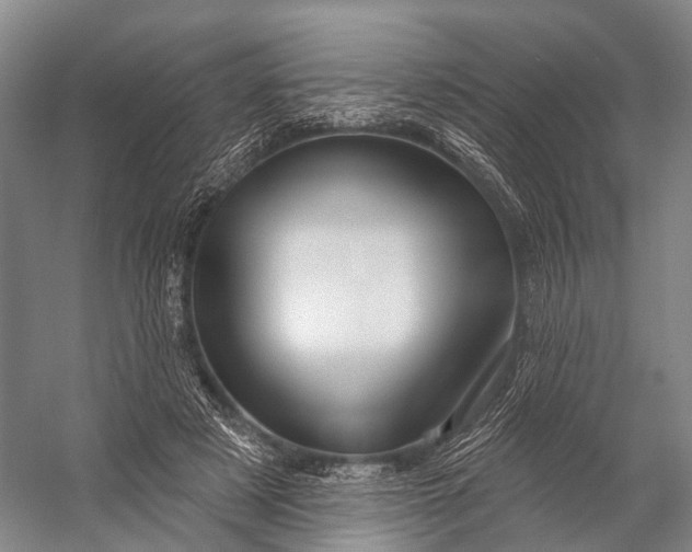 X0000056330497200509161713