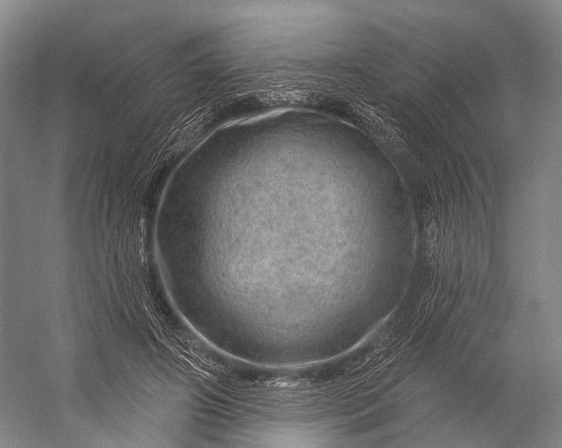 X0000056330498200509161713