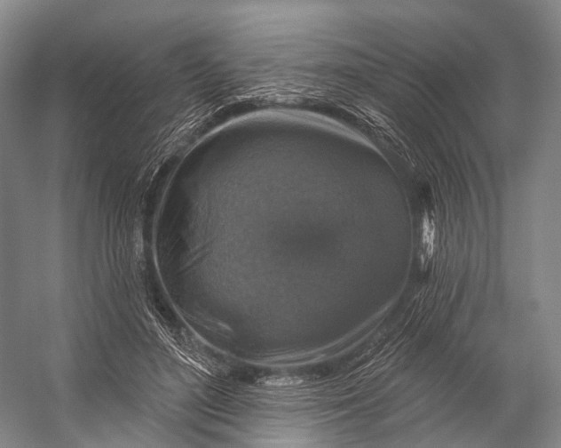 X0000056330500200509161713