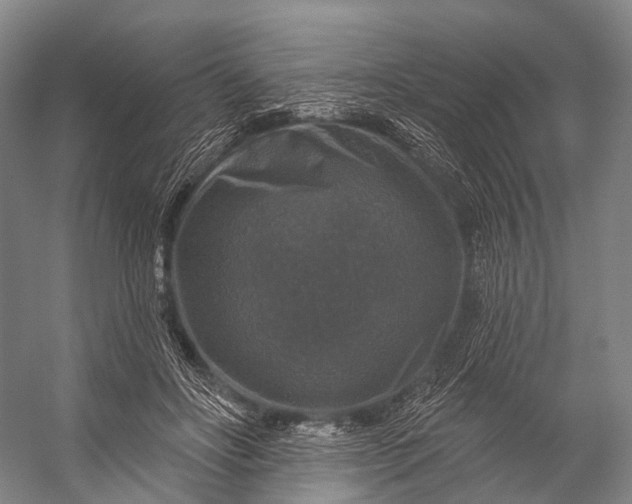 X0000056330502200509161713