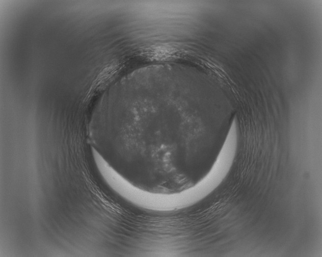 X0000056330503200509161713