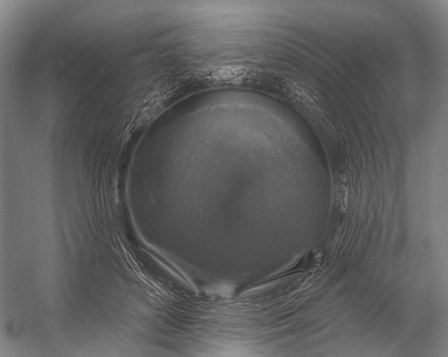 X0000056330504200509161713