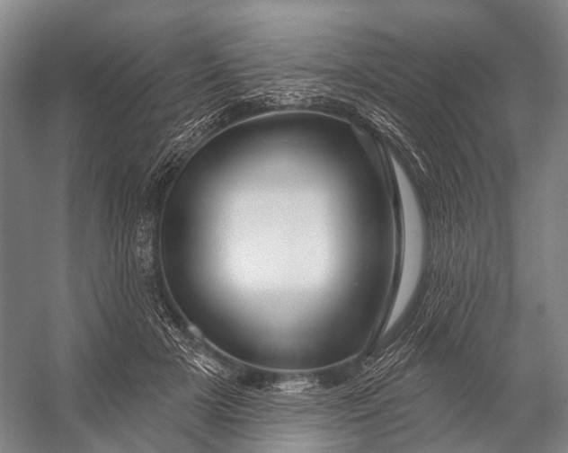 X0000056330505200509161713