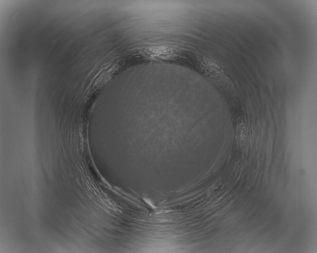 X0000056330506200509161713