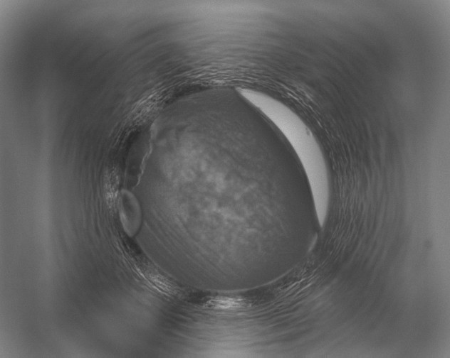 X0000056330507200509161713