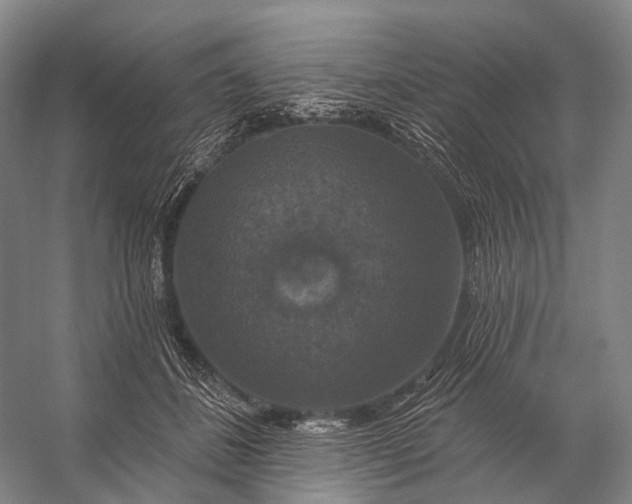 X0000056330508200509161713