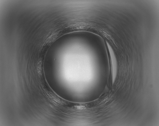 X0000056330509200509161713