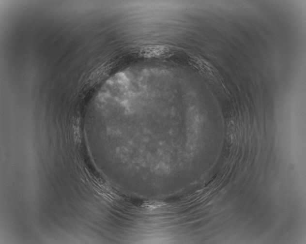 X0000056330510200509161713