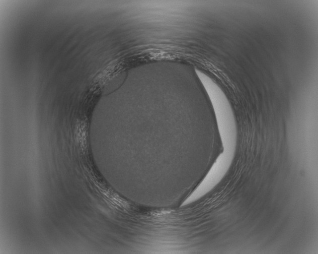 X0000056330513200509161713