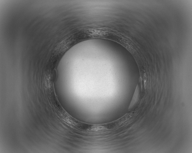 X0000056330514200509161713