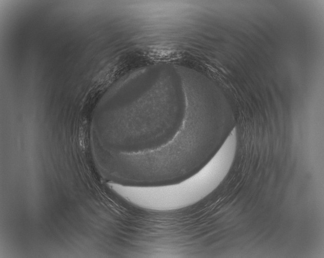 X0000056330515200509161713