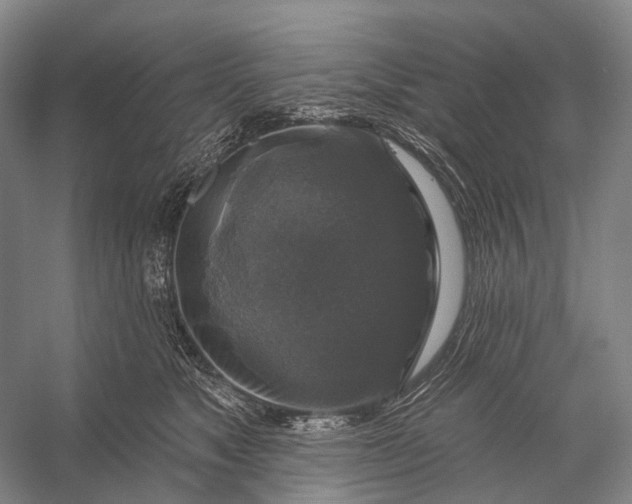 X0000056330517200509161713