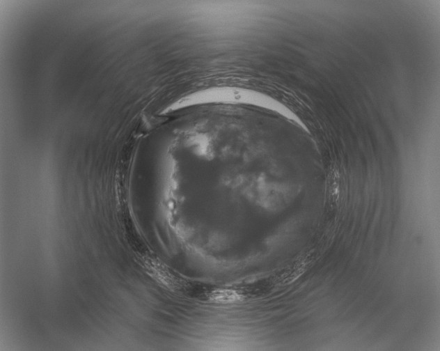 X0000056330519200509161713