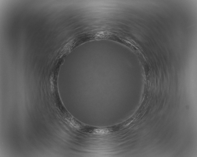 X0000056330520200509161713