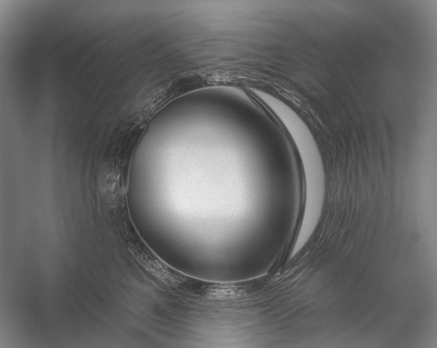 X0000056330521200509161713