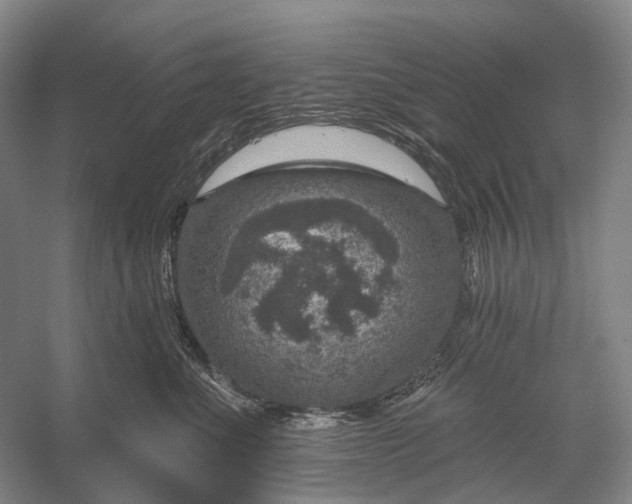 X0000056330523200509161713