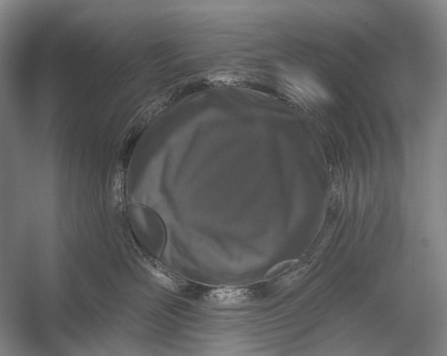 X0000056330526200509161713