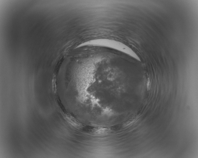 X0000056330527200509161712