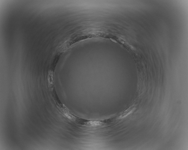 X0000056330528200509161712