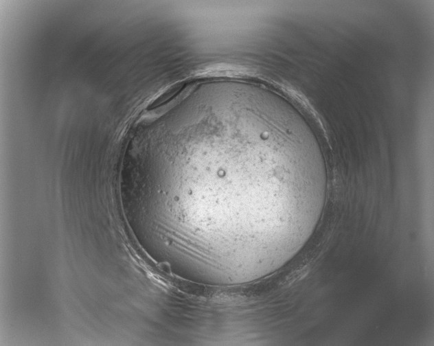 X0000056330529200509161712