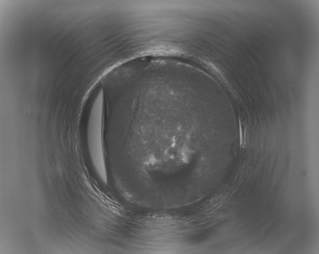 X0000056330531200509161712