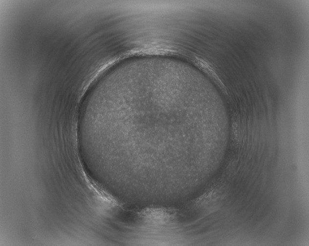 X0000056330534200509161712