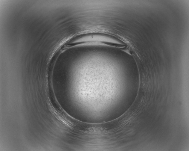 X0000056330535200509161712