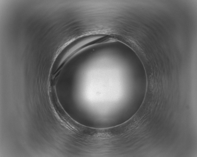 X0000056330536200509161712