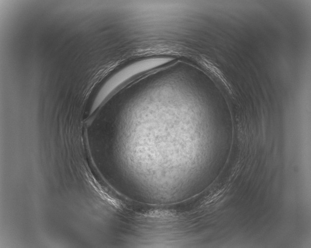 X0000056330537200509161712