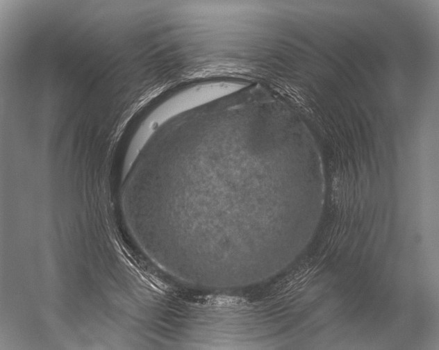 X0000056330539200509161712