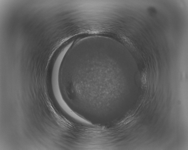 X0000056330540200509161712