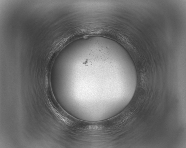 X0000056330541200509161712