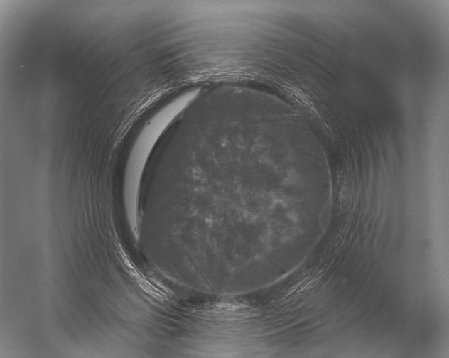 X0000056330542200509161712