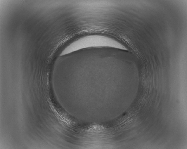 X0000056330543200509161712