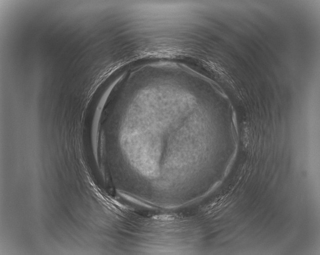 X0000056330544200509161712