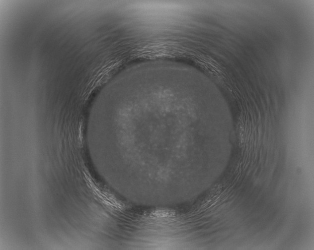 X0000056330546200509161712