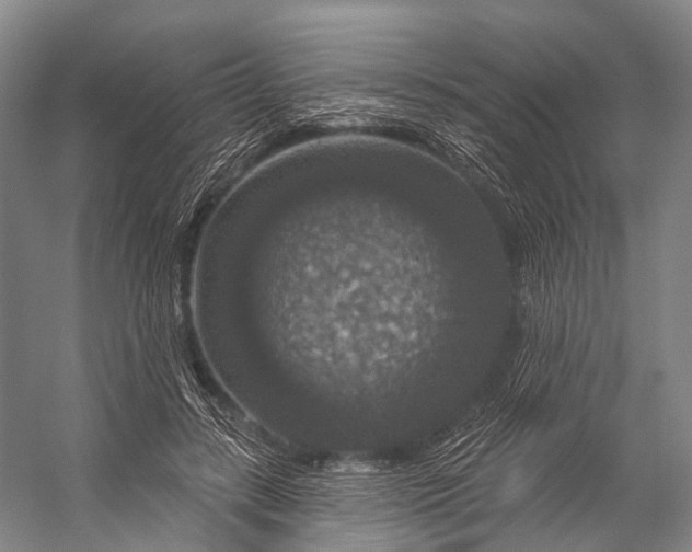 X0000056330547200509161712