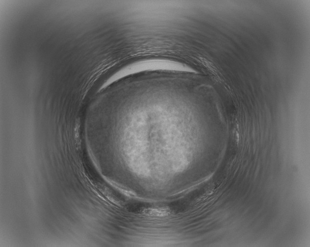 X0000056330548200509161712