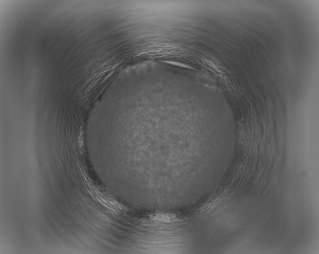 X0000056330549200509161712