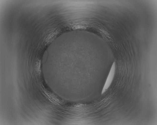 X0000056330550200509161712