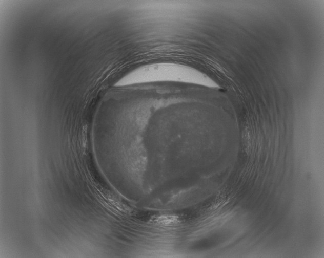 X0000056330554200509161712