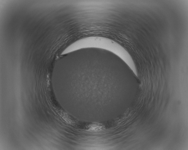 X0000056330555200509161712