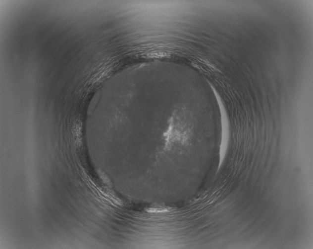 X0000056330556200509161712