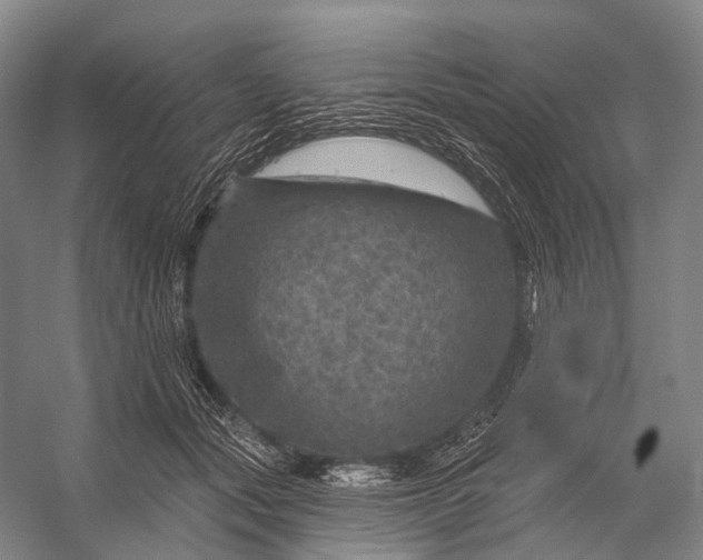 X0000056330557200509161712