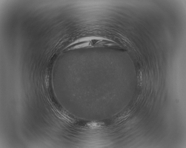 X0000056330558200509161712