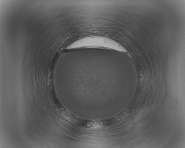 X0000056330559200509161712