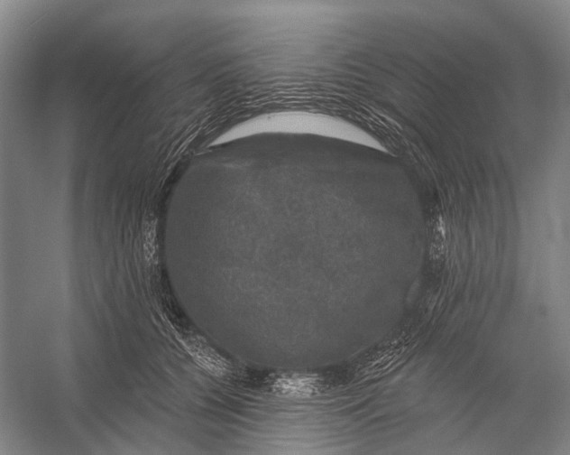 X0000056330560200509161712