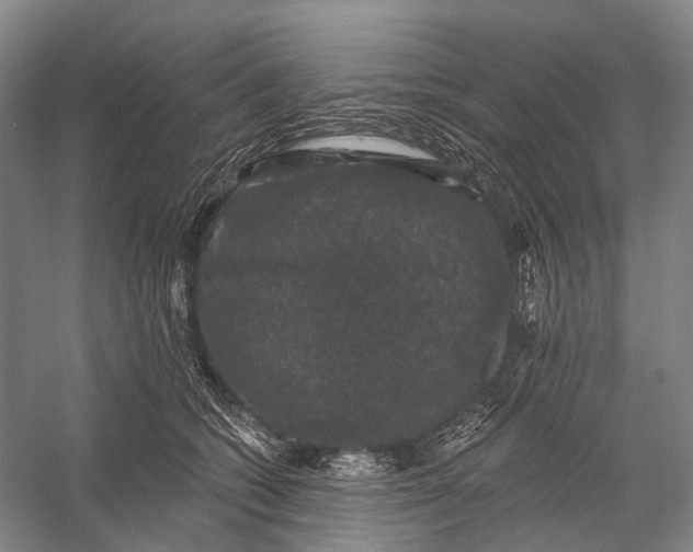 X0000056330562200509161712