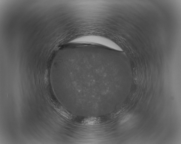 X0000056330563200509161712